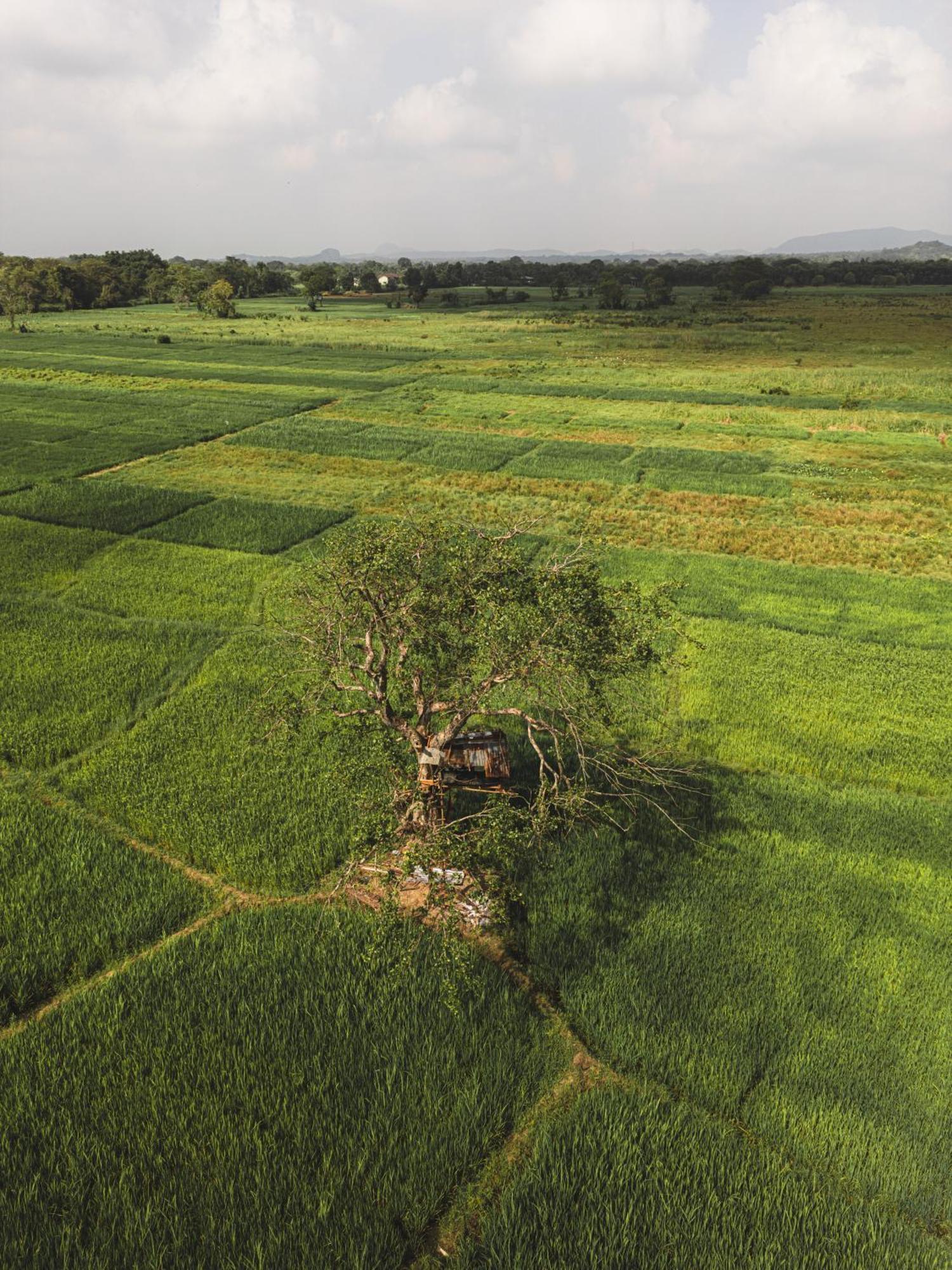 Sundaras Sigiriya Jungles Caves Resort ดัมบูลลา ภายนอก รูปภาพ